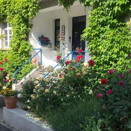 Kunsthaus Mit Gartensauna Dierdorf Luaran gambar
