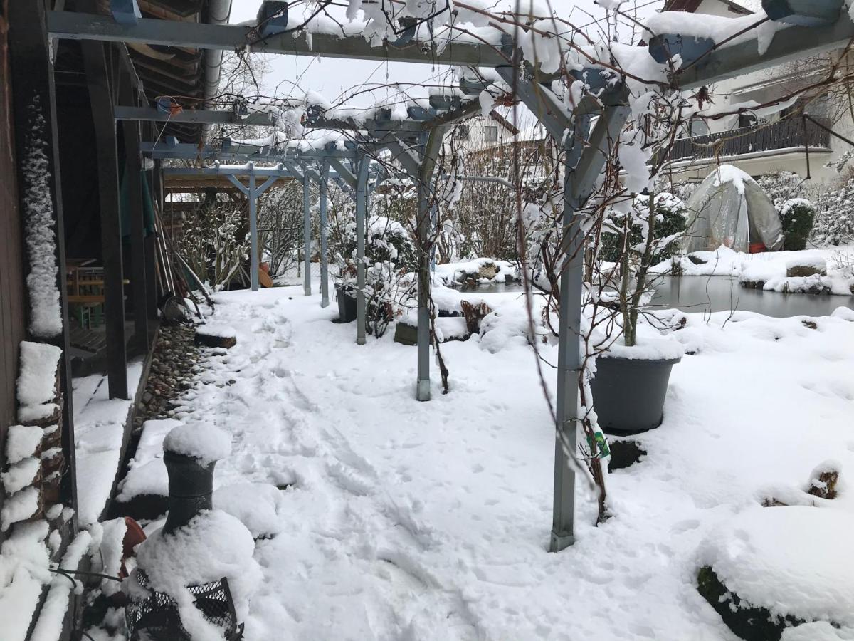 Kunsthaus Mit Gartensauna Dierdorf Luaran gambar